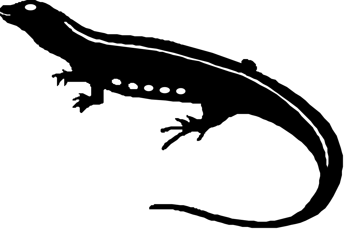 Black and White Bird Clipart - Elegant Avian Illustrations