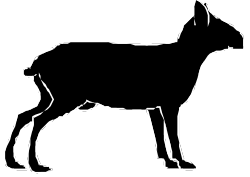 Black and White Dog Silhouette Clipart for Versatile Use