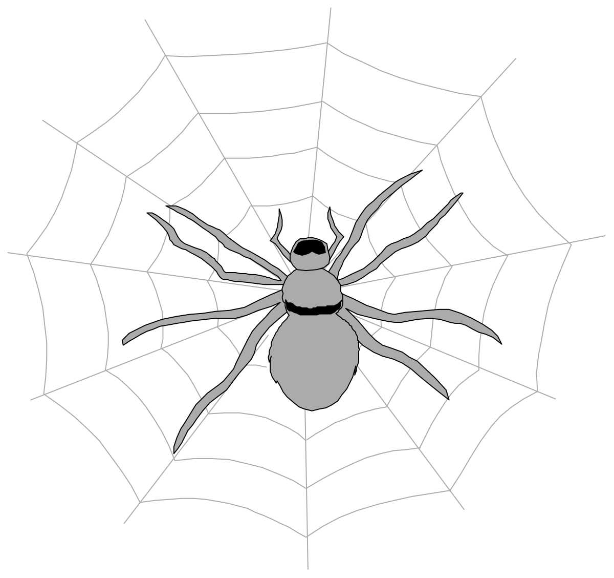 Spider on Web Clipart for Creative Projects