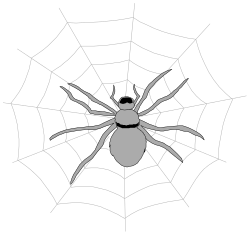 Spider on Web Clipart for Creative Projects