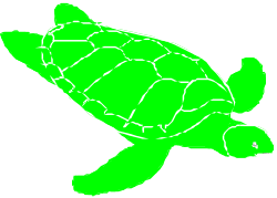 Green Turtle Clipart with White Outline - Ideal for Your Projects