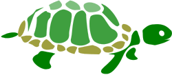 Turtle with Green Shell Clipart - Perfect for Nature Themes