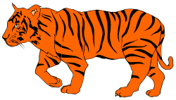 Animals,Catsdogs,TIGER001 clipart