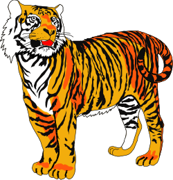 Tiger on Black Background - Stunning Wild Animal Clipart