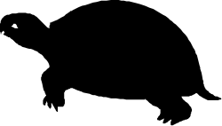 Black Background with White Circle Clipart for Versatile Uses