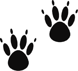 Black and White Paw Prints Clipart for Your Creative Projects