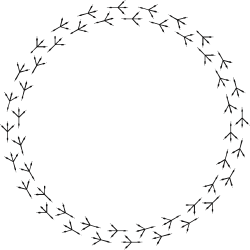 Circle of Branches on Black Background - Nature Inspired Clipart