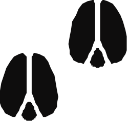 Silhouettes of Man and Woman: Dynamic Black Clipart for Versatile Use