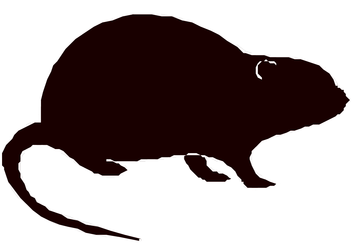 Rat Clipart: Playful Cartoon Rodents for Fun Projects