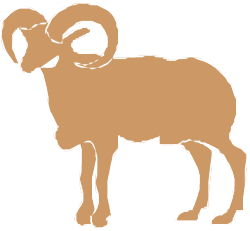 Brown Ram Clipart - Vibrant Illustrations of a Majestic Animal