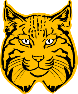 Yellow Cat on Black Background - Vibrant Clipart for Your Projects