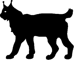 Black Background with White Circle Clipart - Minimalist Design