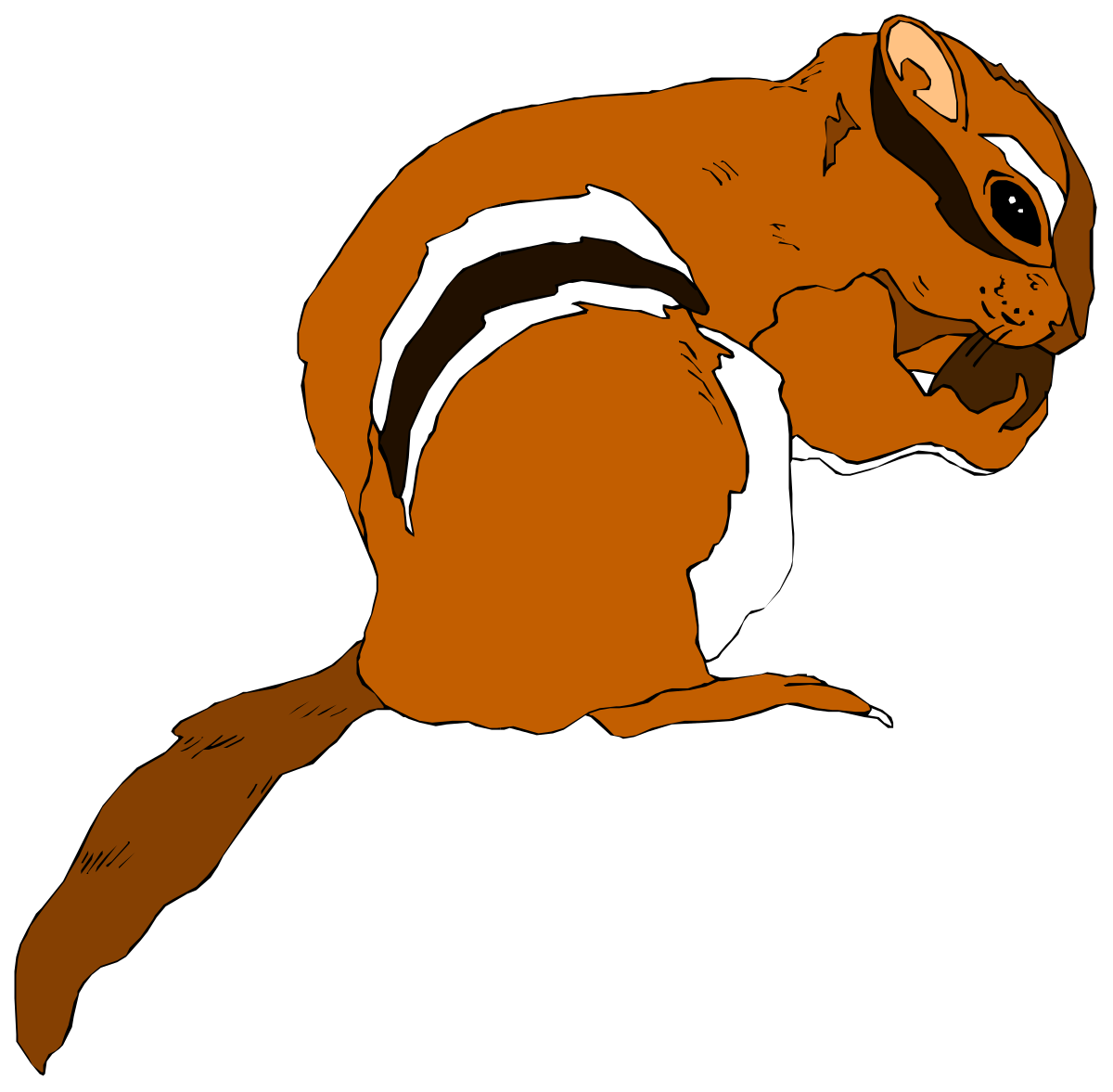 a squirrel is sitting on the ground clip art png transparent Squirrel Sitting on Ground Clipart: Nature's Playful Charm