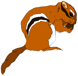 Squirrel Sitting on Ground Clipart: Nature's Playful Charm