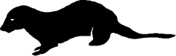 Black Background with White Circle Clipart - Minimalist Design