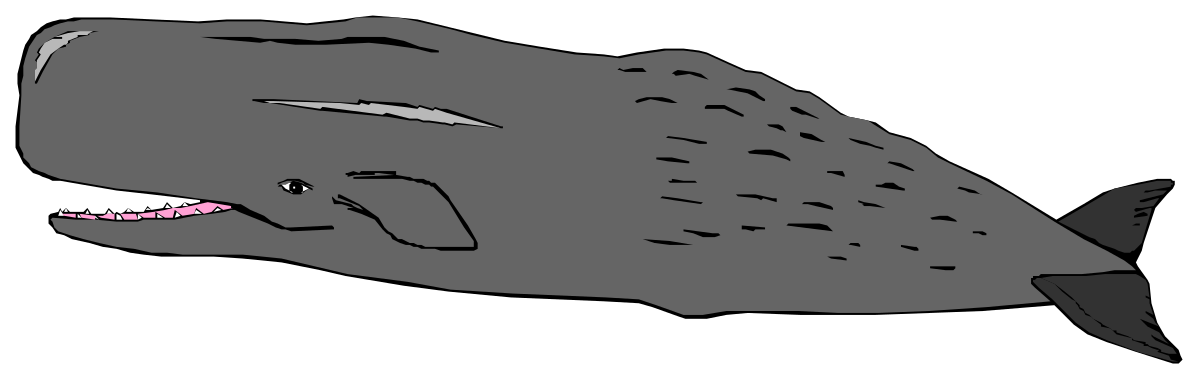 Black and White Fish Clipart with Pink Eyes - Unique Aquatic Illustrations