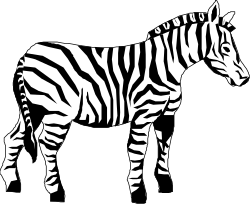 Zebra Clipart: High-Quality Illustrations for Your Creative Projects