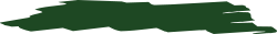 Green Map of Ireland Clipart - Vibrant Borders and Topographic Elements