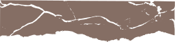 Brown and White United States Map Clipart with Borders