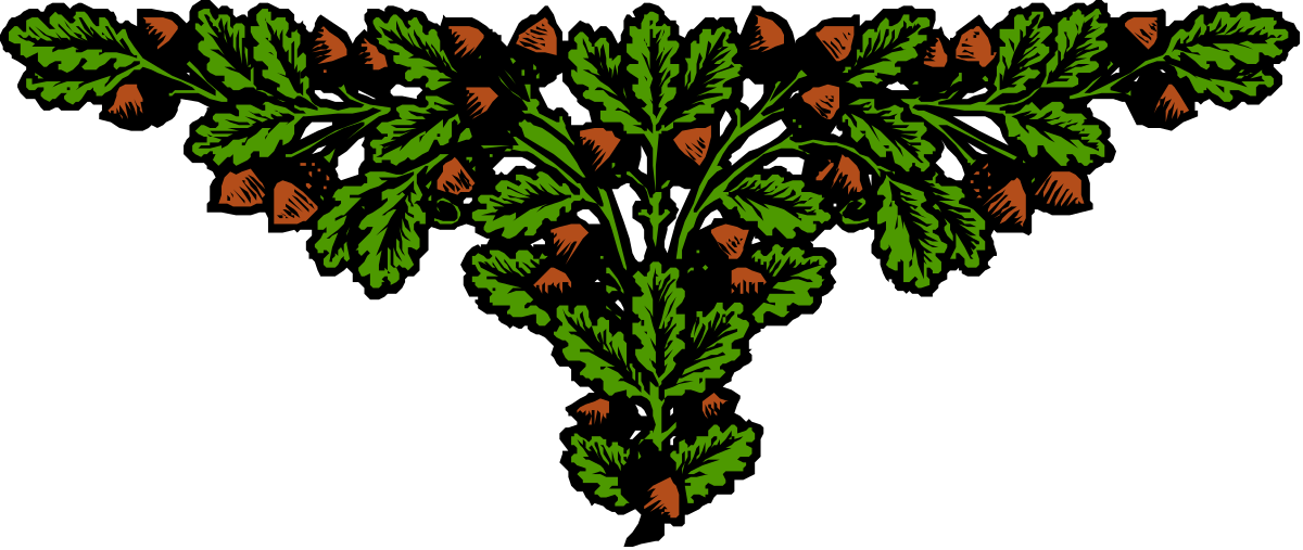 a bunch of flowers with leaves and flowers clip art png transparent Beautiful Floral Borders Clipart - Vibrant Flowers and Leaves