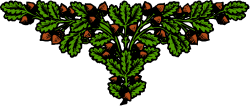 Beautiful Floral Borders Clipart - Vibrant Flowers and Leaves