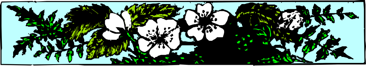 a black and white painting with green paint clip art png transparent Black and White Painting with Green Accents - Artistic Border Clipart