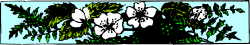 Black and White Painting with Green Accents - Artistic Border Clipart