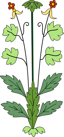 Vibrant Plant Clipart with Leaves and Flowers for Creative Designs