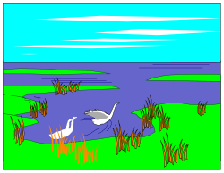 Bird Flying Over Water - Captivating Clipart for Nature Themes