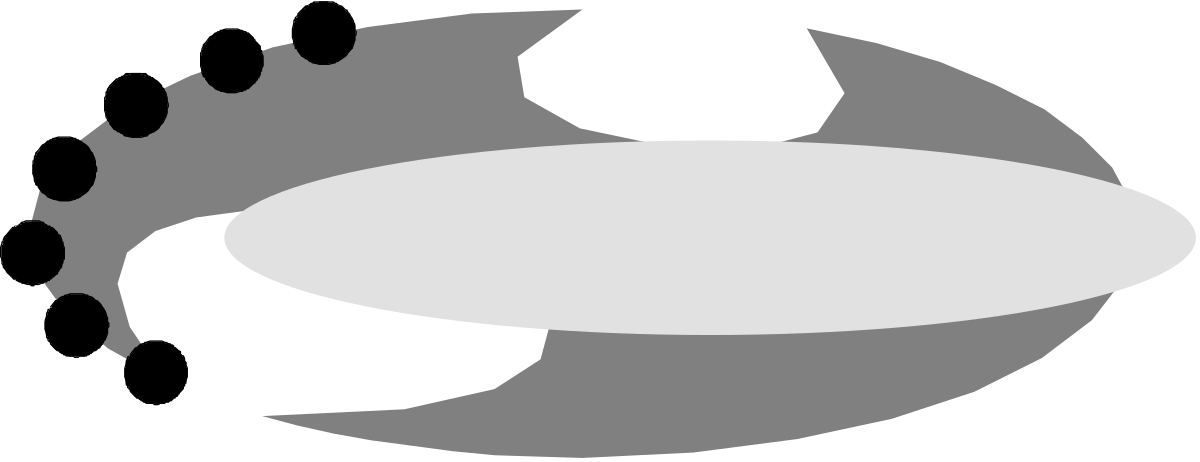 Circle Borders Clipart - White Circle with Black Center Design