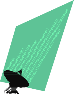 Frog Clipart on Green Background - Backport BCKPC078