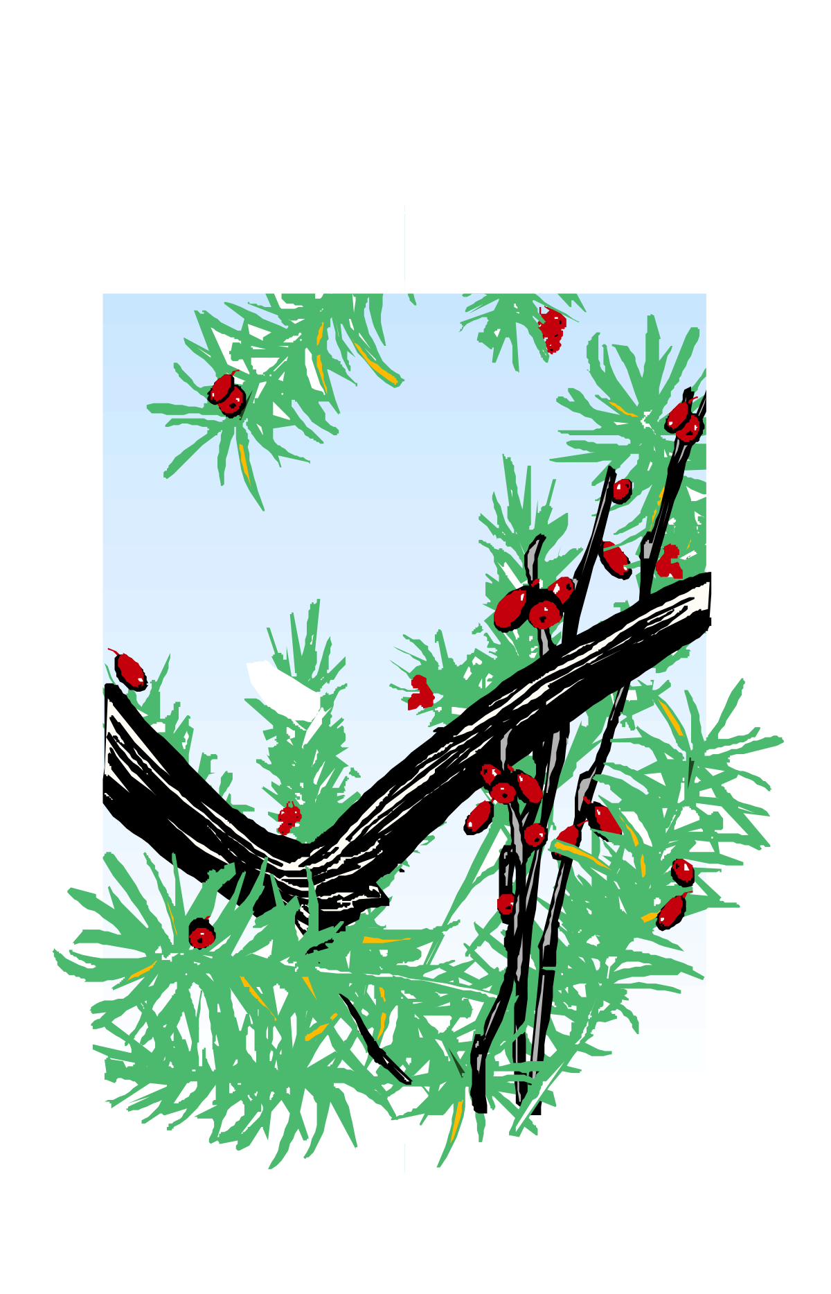 a branch with berries and leaves clip art png transparent Berries and Leaves Clipart: Elegant Branch Borders Design