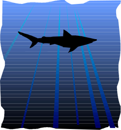 Shark Swimming in the Ocean - Stunning Clipart for Your Projects