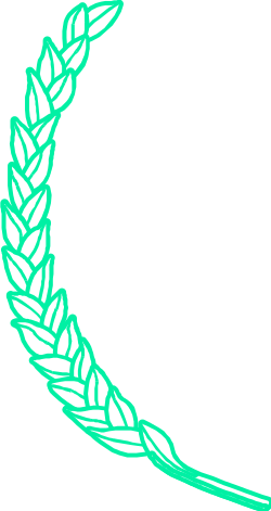 Laurel Wreath Clipart - Green Outline Decorative Border