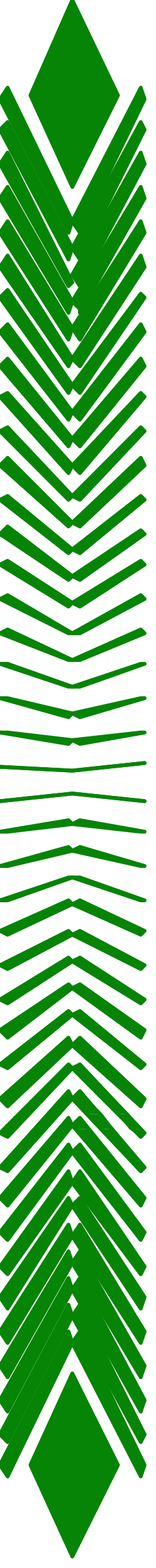 Green Book Clipart on Black Background - Stylish Borders and Graphics