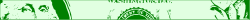 Green and White Wood Texture Borders Clipart
