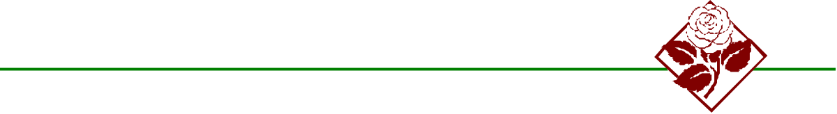 Borders: Red and Green Line on Black Background Clipart