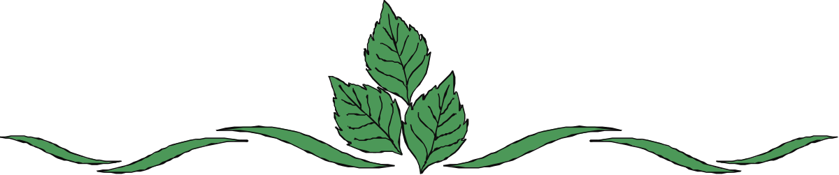 a green plant with a black background clip art png transparent Green Plant Clipart on Black Background - Elegant Border Design
