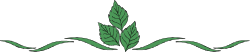 Green Plant Clipart on Black Background - Elegant Border Design