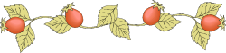 Plant Diagram Illustration - Two Stages Border Clipart