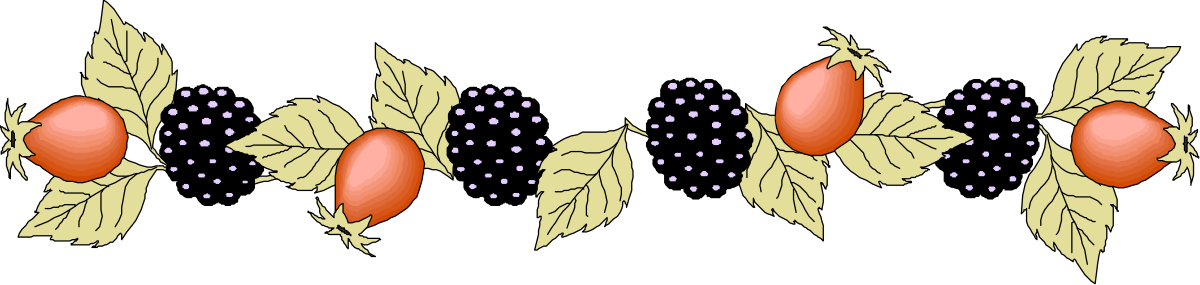 a diagram of a plant with two leaves and one flower clip art png transparent Plant Diagram with Leaves and Flower Clipart - Beautiful Borders SVG