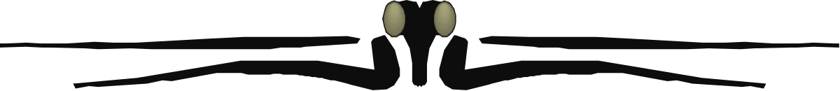 Borders Clipart: Elegant Top Borders and Logo Design