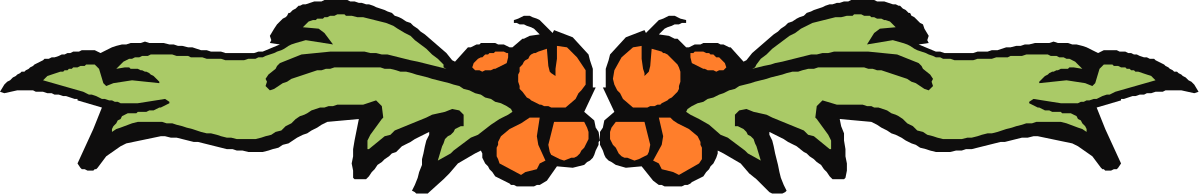 Green and Orange Butterfly with Black Wings Clipart - Vibrant Borders Collection