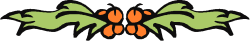 Green and Orange Butterfly with Black Wings Clipart - Vibrant Borders Collection