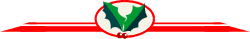 Surfboard Clipart: Green and White Surfboard with Red Stripe
