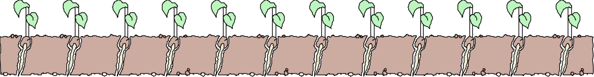 Green and Pink Line Borders Clipart for Versatile Designs