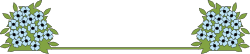 Green and White Decorative Border with Black Accent Clipart