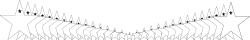 Elegant Black and White Line Borders Clipart for Seamless Designs