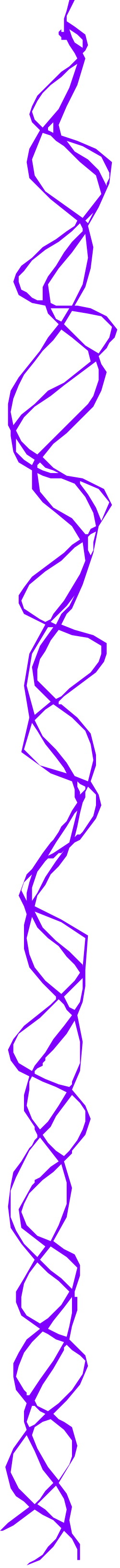 Borders with White Lines and Purple Swirl on Black Background - Clipart
