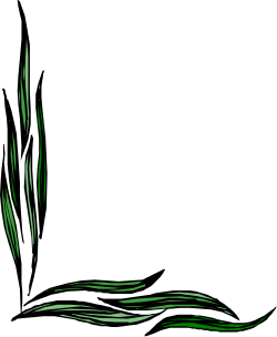 Green Plant Clipart on Black Background - Elegant Borders and Corners